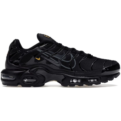 NIKE AIR MAX PLUS TN ‘MULTI SWOOSH’