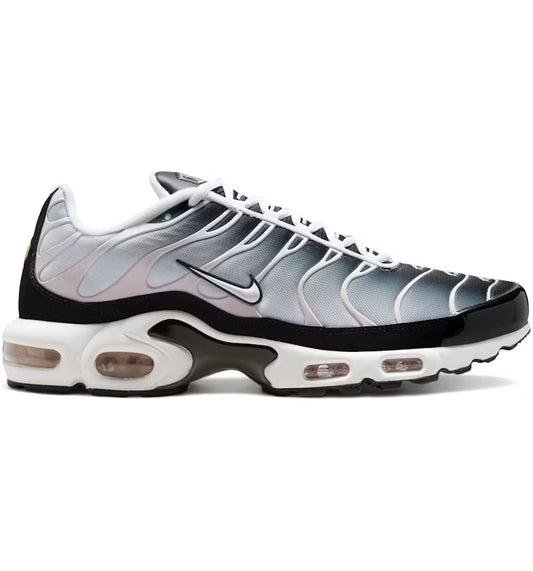 NIKE AIR MAX PLUS TN ‘PINK FOAM’