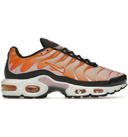 NIKE AIR MAX PLUS TN ‘SHERBERT’