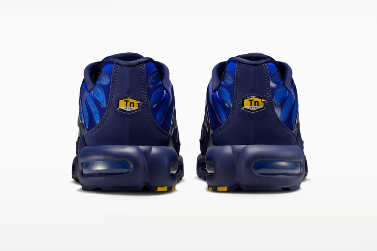 NIKE AIR MAX PLUS TN ‘FRENCH FOOTBALL FEDERATION 26’