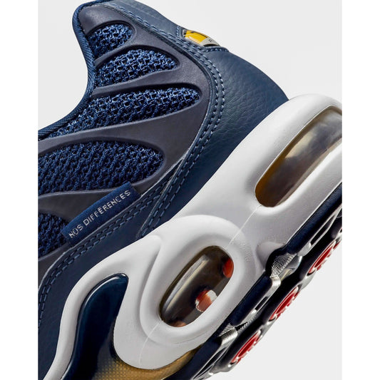 NIKE AIR MAX PLUS TN ‘ FRENCH FOOTBALL FEDERATION’